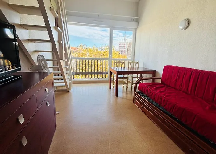 T2 4 Couchages Port Du Cap D'agde , Climatisation , Piscine * Agde